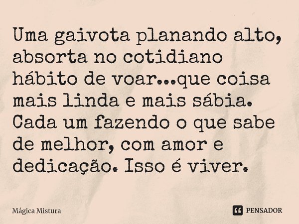 ⁠Uma gaivota planando alto, absorta no cotidiano hábito de voar...que coisa mais linda e mais sábia. Cada um fazendo o que sabe de melhor, com amor e dedicação.... Frase de Mágica Mistura.
