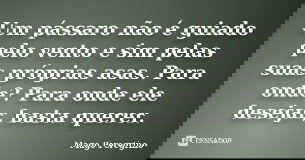 Um pássaro não é guiado pelo vento e sim pelas suas próprias asas. Para onde? Para onde ele desejar, basta querer.... Frase de Mago Peregrino.