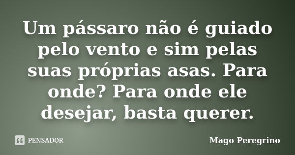 Um pássaro não é guiado pelo vento e sim pelas suas próprias asas. Para onde? Para onde ele desejar, basta querer.... Frase de Mago Peregrino.