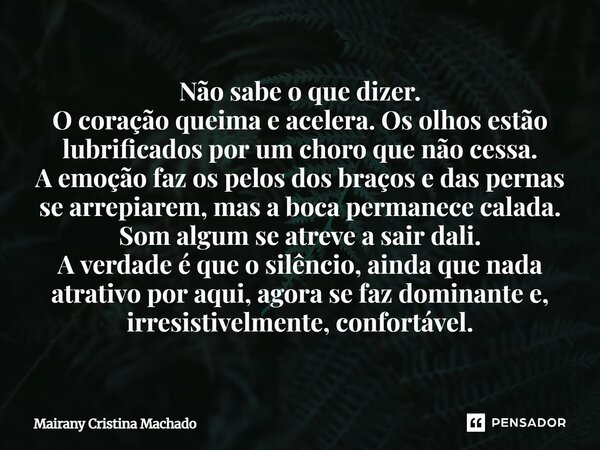 ⁠Não sabe o que dizer. O coração queima e acelera. Os olhos estão lubrificados por um choro que não cessa. A emoção faz os pelos dos braços e das pernas se arre... Frase de Mairany Cristina Machado.