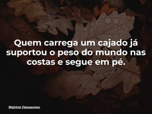 Quem carrega um cajado já suportou o peso do mundo nas costas e segue em pé.... Frase de Mairton Damasceno.