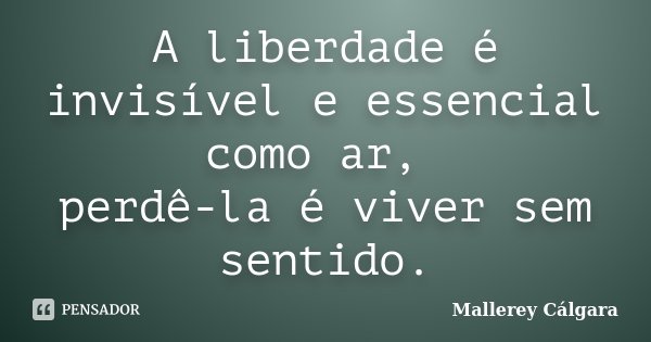 A liberdade é invisível e essencial como ar, perdê-la é viver sem sentido.... Frase de Mallerey Cálgara.