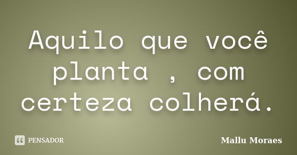 Aquilo que você planta , com certeza colherá.... Frase de Mallu Moraes.