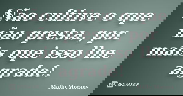 Não cultive o que não presta, por mais que isso lhe agrade!... Frase de Mallu Moraes.
