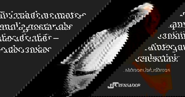 Fui criado no mato e aprendi a gostar das coisinhas do chão – Antes que das coisas celestiais.... Frase de Manoel de Barros.