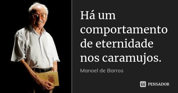 Há um comportamento de eternidade nos caramujos.... Frase de Manoel de Barros.