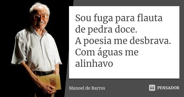 Sou fuga para flauta de pedra doce. A poesia me desbrava. Com águas me alinhavo... Frase de Manoel de Barros.