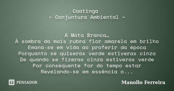 Caatinga ~ Conjuntura Ambiental ~ A Mata Branca… À sombra da mais rubra flor amarela em brilho Emana-se em vida ao proferir da época Porquanto se quiseras verde... Frase de Manollo Ferreira.