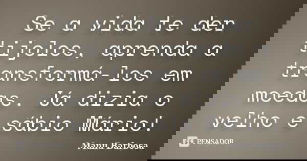 Se a vida te der tijolos, aprenda a transformá-los em moedas. Já dizia o velho e sábio Mário!... Frase de Manu Barbosa.