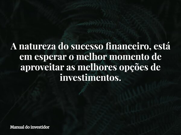 A natureza do sucesso financeiro, está em esperar o melhor momento de aproveitar as melhores opções de investimentos.... Frase de Manual do investidor.