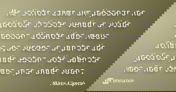 Me sinto como um pássaro na gaiola triste vendo a vida passar diante dos meus olhos,as vezes a porta da gaiola pode estar até aberta mas não temos pra onde voar... Frase de Mara Caprio.