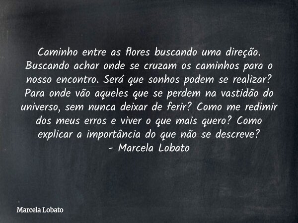 Caminho entre as flores buscando uma direção. Buscando achar onde se cruzam os caminhos para o nosso encontro. Será que sonhos podem se realizar? Para onde vão ... Frase de Marcela Lobato.