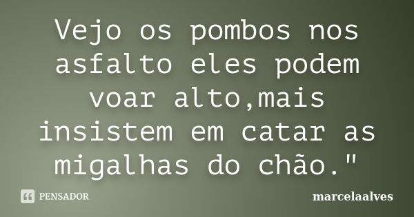 Vejo os pombos nos asfalto eles podem voar alto,mais insistem em catar as migalhas do chão."... Frase de marcelaalves.