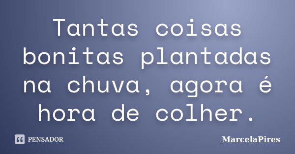 Tantas coisas bonitas plantadas na chuva, agora é hora de colher.... Frase de MarcelaPires.