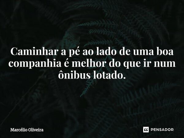 Caminhar a pé ao lado de uma boa companhia é melhor do que ir num ônibus lotado.... Frase de Marcelio Oliveira.