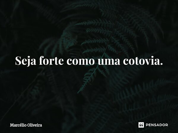 Seja forte como uma cotovia.⁠... Frase de Marcelio Oliveira.