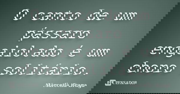 O canto de um pássaro engaiolado é um choro solitário.... Frase de Marcella Braga.