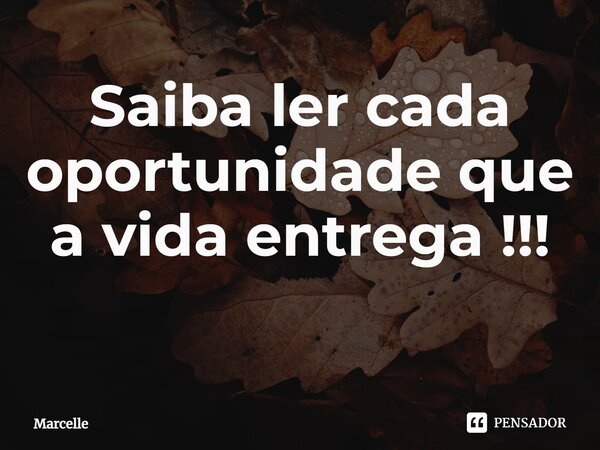 Saiba ler cada oportunidade que a vida entrega !!! ⁠... Frase de marcelle.