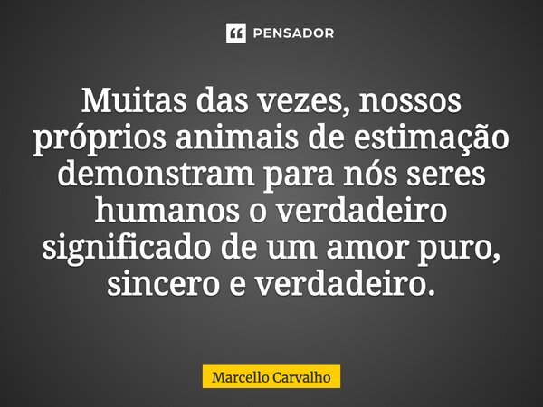 Muitas das vezes, nossos próprios animais de estimação demonstram para nós seres humanos o verdadeiro significado de um amor puro, sincero e verdadeiro.... Frase de Marcello Carvalho.
