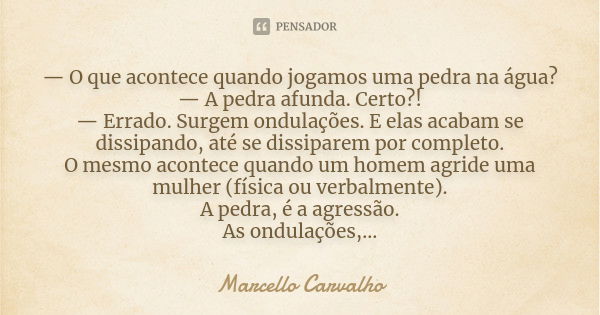 — O que acontece quando jogamos uma pedra na água? — A pedra afunda. Certo?! — Errado. Surgem ondulações. E elas acabam se dissipando, até se dissiparem por com... Frase de Marcello Carvalho.