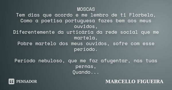 MOSCAS Tem dias que acordo e me lembro de ti Florbela, Como a poetisa portuguesa fazes bem aos meus ouvidos, Diferentemente da urticária da rede social que me m... Frase de MARCELLO FIGUEIRA.