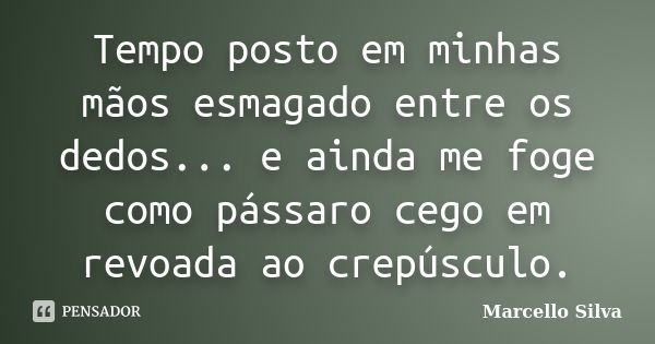 Tempo posto em minhas mãos esmagado entre os dedos... e ainda me foge como pássaro cego em revoada ao crepúsculo.... Frase de Marcello Silva.