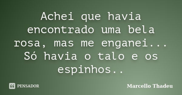 Achei que havia encontrado uma bela rosa, mas me enganei... Só havia o talo e os espinhos..... Frase de Marcello Thadeu.