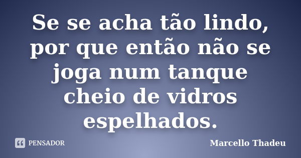 Se se acha tão lindo, por que então não se joga num tanque cheio de vidros espelhados.... Frase de Marcello Thadeu.