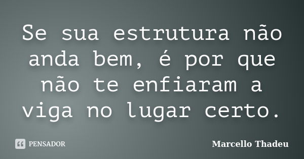 Se sua estrutura não anda bem, é por que não te enfiaram a viga no lugar certo.... Frase de Marcello Thadeu.