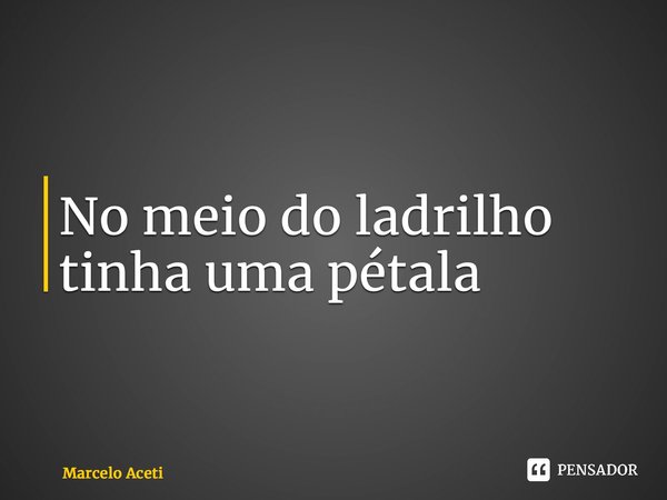 ⁠No meio do ladrilho tinha uma pétala... Frase de Marcelo Aceti.