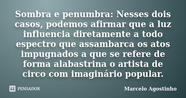 Sombra e penumbra: Nesses dois casos, podemos afirmar que a luz influencia diretamente a todo espectro que assambarca os atos impugnados a que se refere de form... Frase de Marcelo Agostinho.