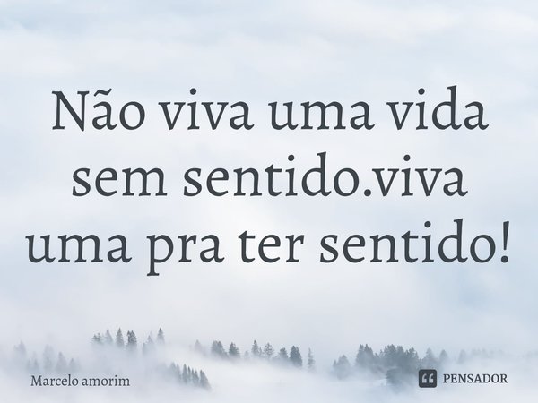 ⁠Não viva uma vida sem sentido.viva uma pra ter sentido!... Frase de Marcelo amorim.