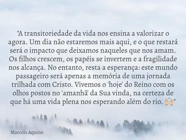 ​"A transitoriedade da vida nos ensina a valorizar o agora. Um dia não estaremos mais aqui, e o que restará será o impacto que deixamos naqueles que nos am... Frase de Marcelo Aquino.