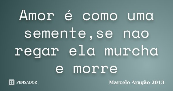 Amor é como uma semente,se nao regar ela murcha e morre... Frase de Marcelo Aragão 2013.