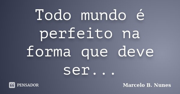Todo mundo é perfeito na forma que deve ser...... Frase de Marcelo B. Nunes.