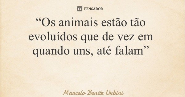 “Os animais estão tão evoluídos que de vez em quando uns, até falam”... Frase de Marcelo Benite Urbini.