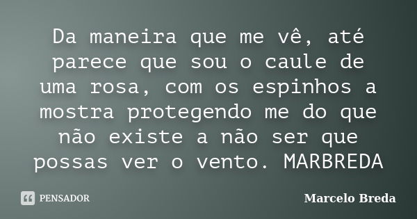 Da maneira que me vê, até parece que sou o caule de uma rosa, com os espinhos a mostra protegendo me do que não existe a não ser que possas ver o vento. MARBRED... Frase de Marcelo Breda.