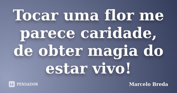 Tocar uma flor me parece caridade, de obter magia do estar vivo!... Frase de Marcelo breda.