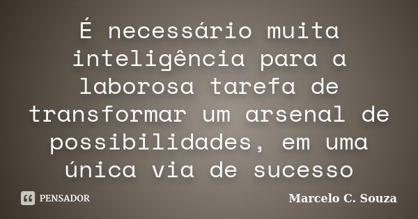 É necessário muita inteligência para a laborosa tarefa de transformar um arsenal de possibilidades, em uma única via de sucesso... Frase de Marcelo C. Souza.