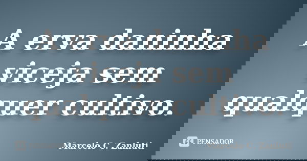 A erva daninha viceja sem qualquer cultivo.... Frase de Marcelo C. Zanluti.