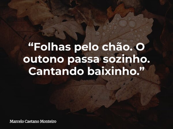 “Folhas pelo chão. O outono passa sozinho. Cantando baixinho.”... Frase de Marcelo Caetano Monteiro.
