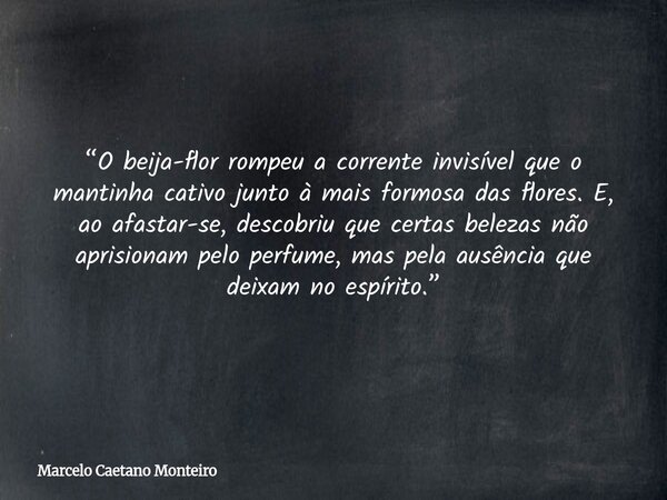 “O beija-flor rompeu a corrente invisível que o mantinha cativo junto à mais formosa das flores. E, ao afastar-se, descobriu que certas belezas não aprisionam p... Frase de Marcelo Caetano Monteiro.
