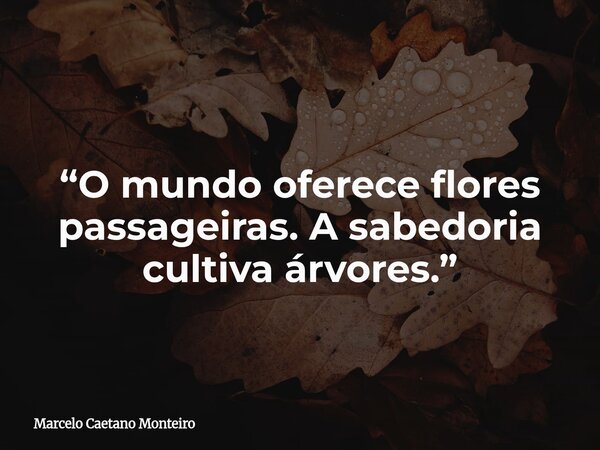 “O mundo oferece flores passageiras. A sabedoria cultiva árvores.”... Frase de Marcelo Caetano Monteiro.