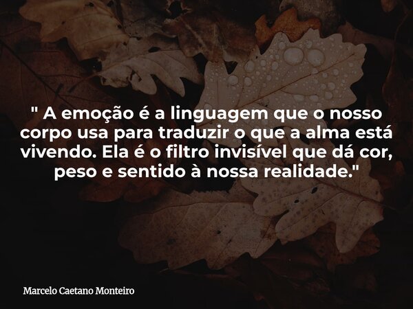 " A emoção é a linguagem que o nosso corpo usa para traduzir o que a alma está vivendo. Ela é o filtro invisível que dá cor, peso e sentido à nossa realida... Frase de Marcelo Caetano Monteiro.