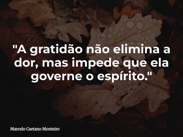 "A gratidão não elimina a dor, mas impede que ela governe o espírito."... Frase de Marcelo Caetano Monteiro.