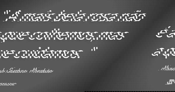 " A mais bela rosa não é a que colhemos,mas a que cuidamos. "... Frase de Marcelo Caetano Monteiro..