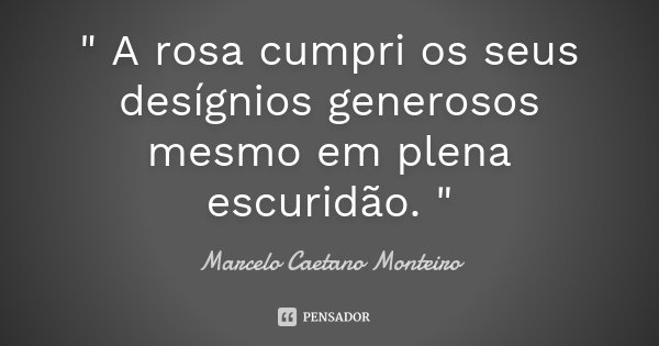 " A rosa cumpri os seus desígnios generosos mesmo em plena escuridão. "... Frase de Marcelo Caetano Monteiro..
