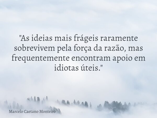 "As ideias mais frágeis raramente sobrevivem pela força da razão, mas frequentemente encontram apoio em idiotas úteis."... Frase de Marcelo Caetano Monteiro.
