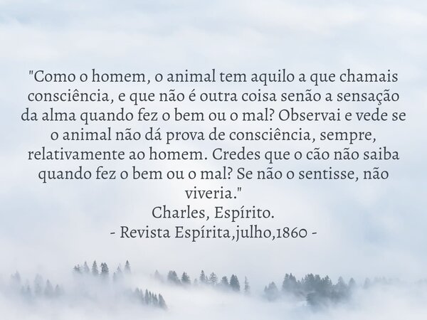 "Como o homem, o animal tem aquilo a que chamais consciência, e que não é outra coisa senão a sensação da alma quando fez o bem ou o mal? Observai e vede s... Frase de Marcelo Caetano Monteiro.