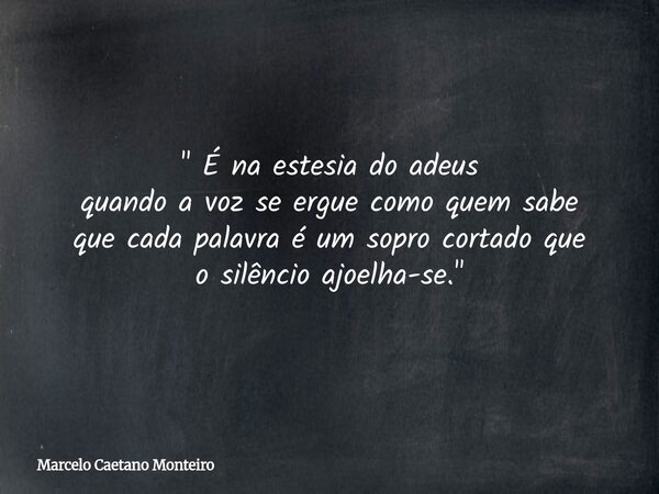 " É na estesia do adeus quando a voz se ergue como quem sabe que cada palavra é um sopro cortado que o silêncio ajoelha-se. "... Frase de Marcelo Caetano Monteiro.